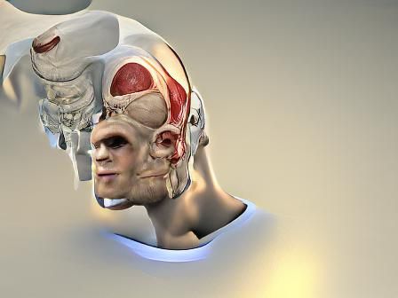 Anatomical Head Speaks With Visible Language