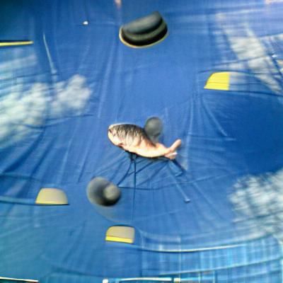 Fish Bouncing on a Trampoline