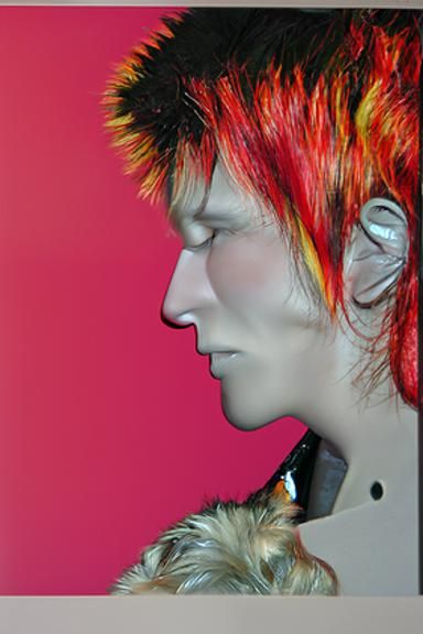 Ziggy Profile Portrait