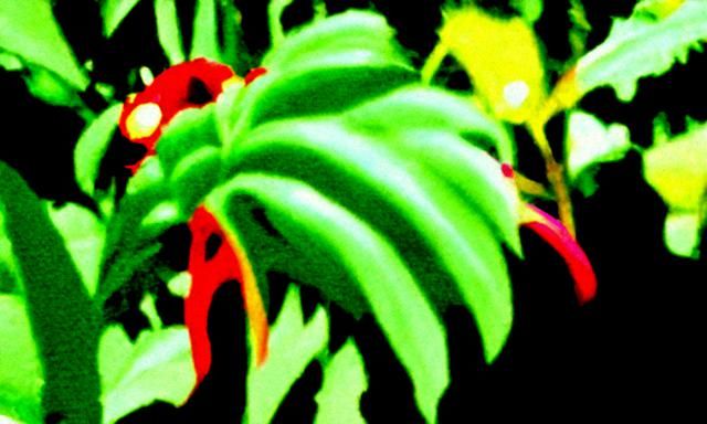 Jungle Monster Concept Art in 8K Resolution