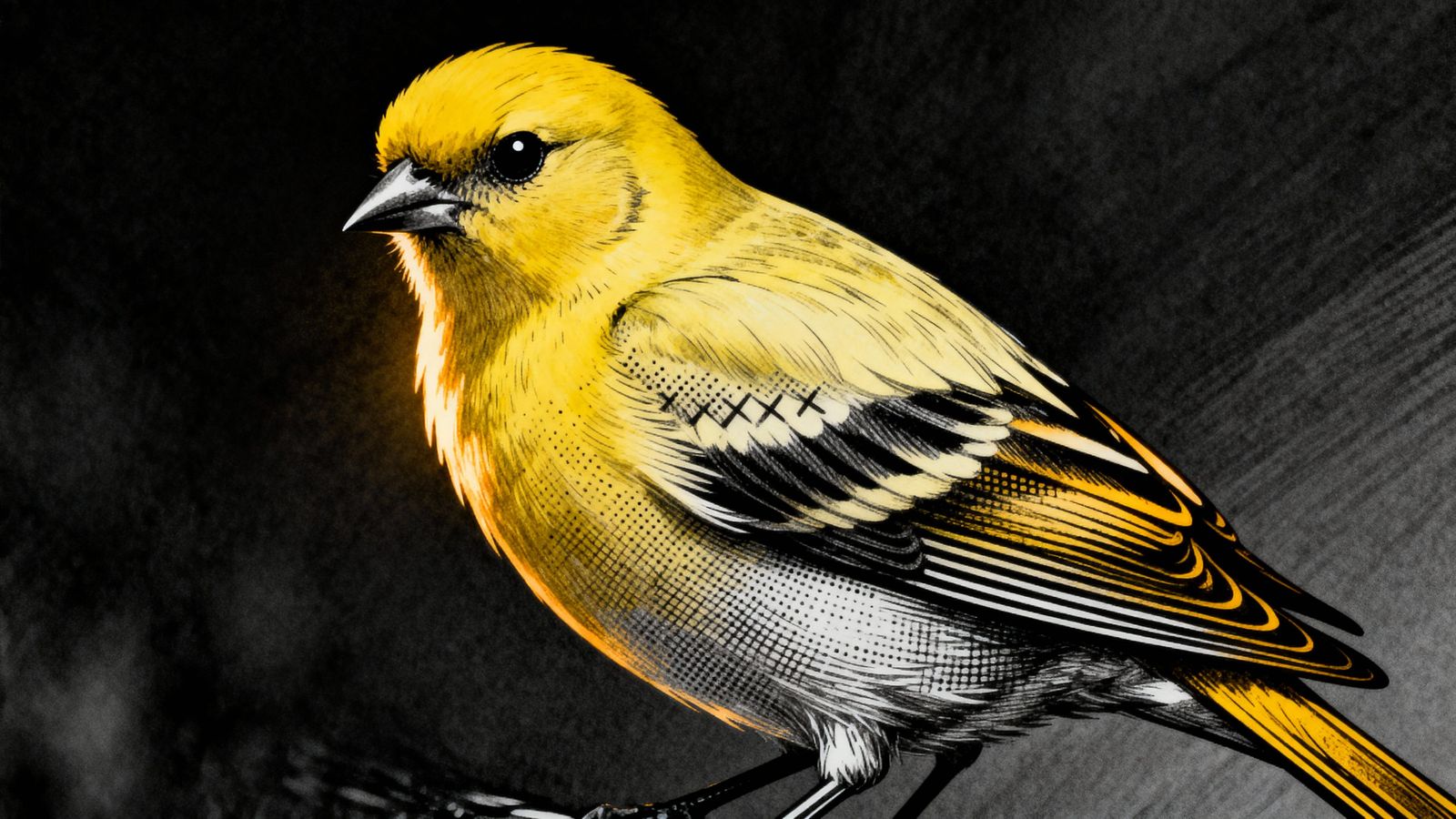 Realistic Yellow Canary with Bold Blackwork Lines