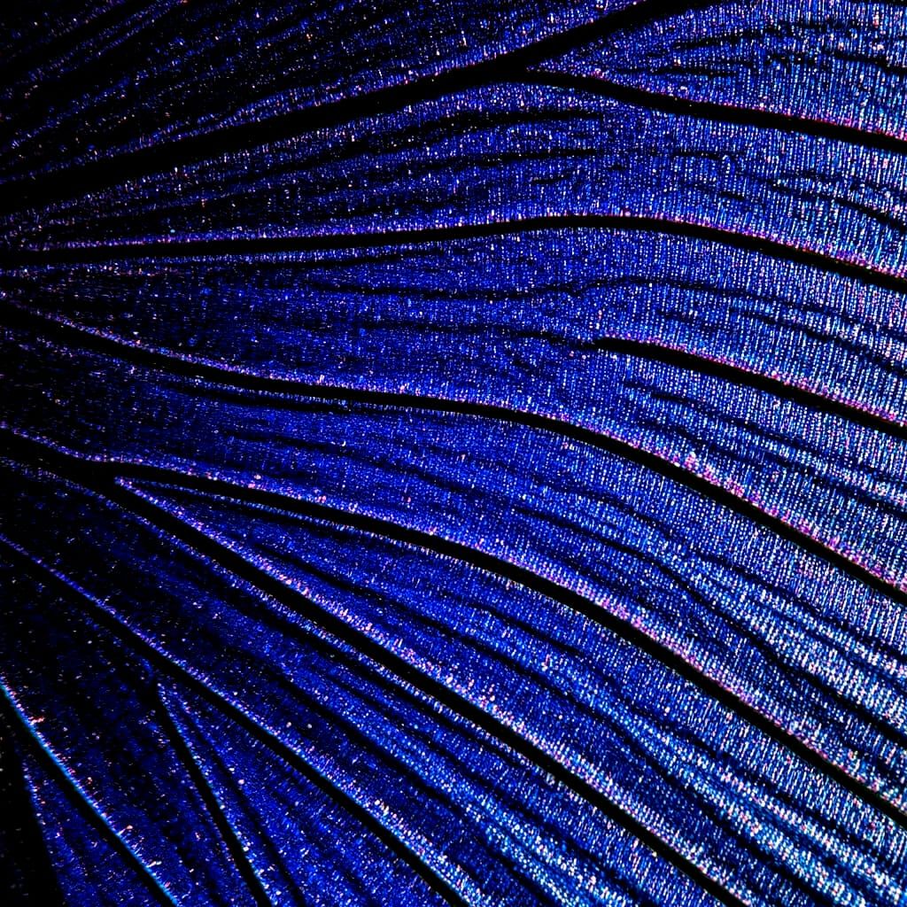 Akuma Wing Up Close Alt Design