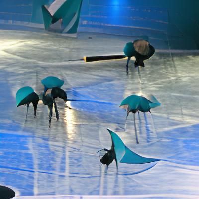 Teal and Grey Umbrellas Dancing on Ice