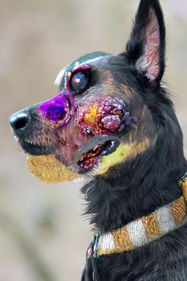 My dog got bit by a bee sad colors humorous colors gouache Tim Burton 64 megapixels 8K resolution volumetric lighting VR...