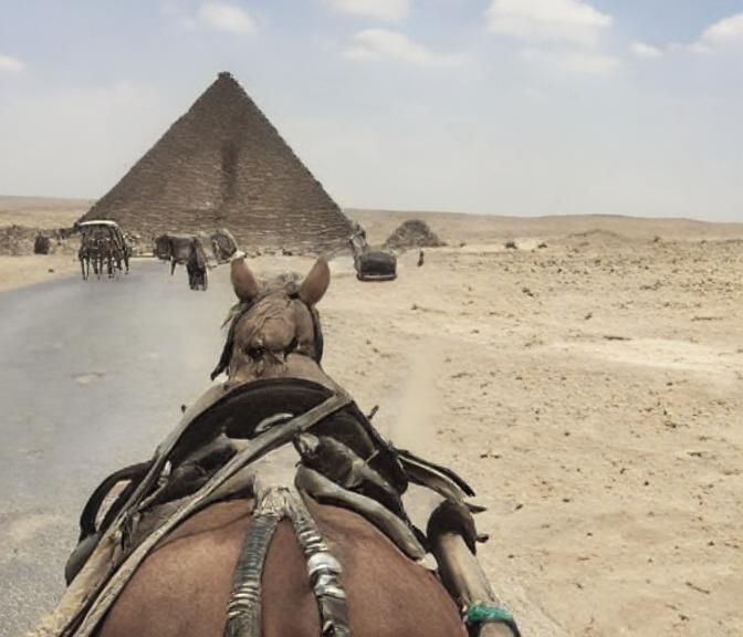 POV: on a horse in ancient Egypt