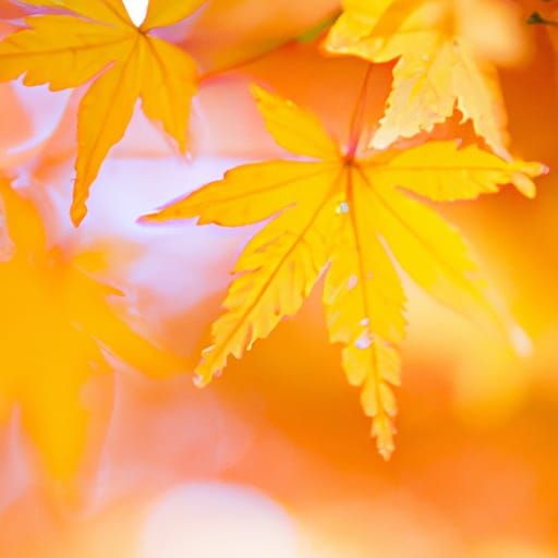 Colorful Autumn Leaves Display