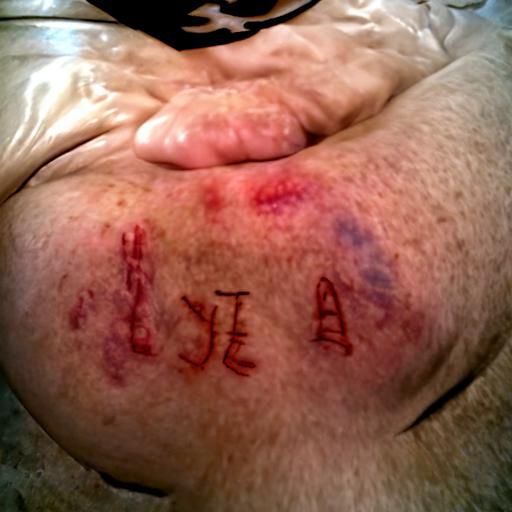 Humorous MMA Octagon Fight Scene