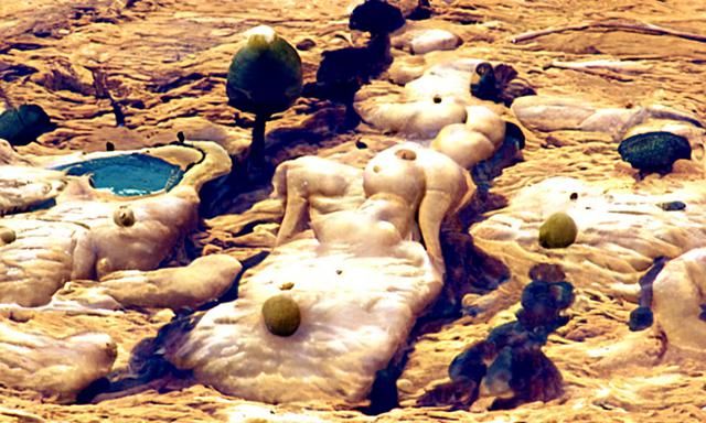 Nudist Colony on Venus: A Hypothetical Settlement