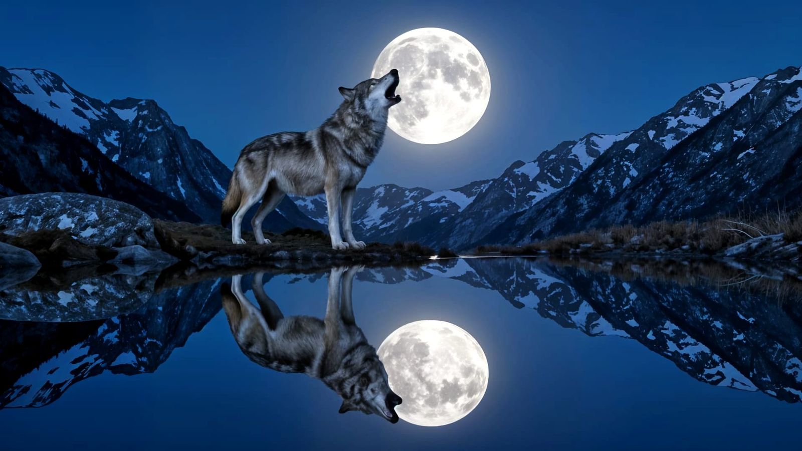 Symmetrical Reflection Photography: Howling Wolf and Full Mo...