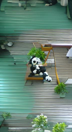 Panda on a Veranda