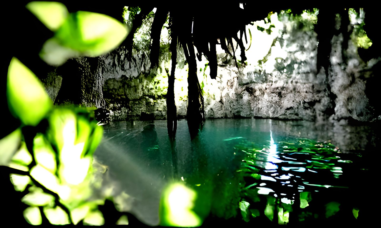 Sunlit Cenote: A Cinematographic Underwater Scene