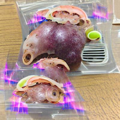 Hibagon Cryptid Image
