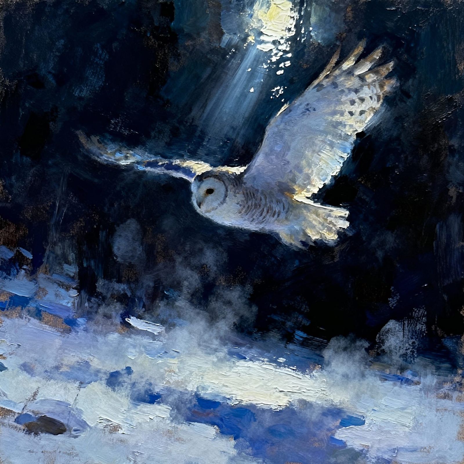 owl in flight on a cold winter night.