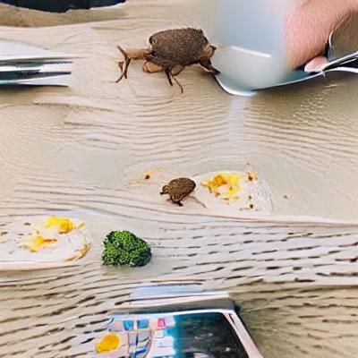 Paul Rudd's Second Breakfast with a Toad