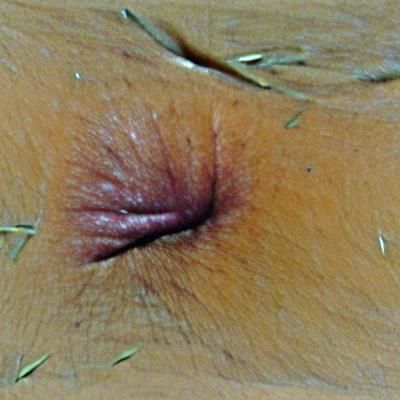 AI Image Generator Output: Empty Prompt