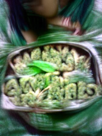 Detailed Cannabis Plant