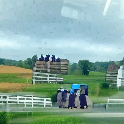 Amish Bandits: A Study in Contrasts