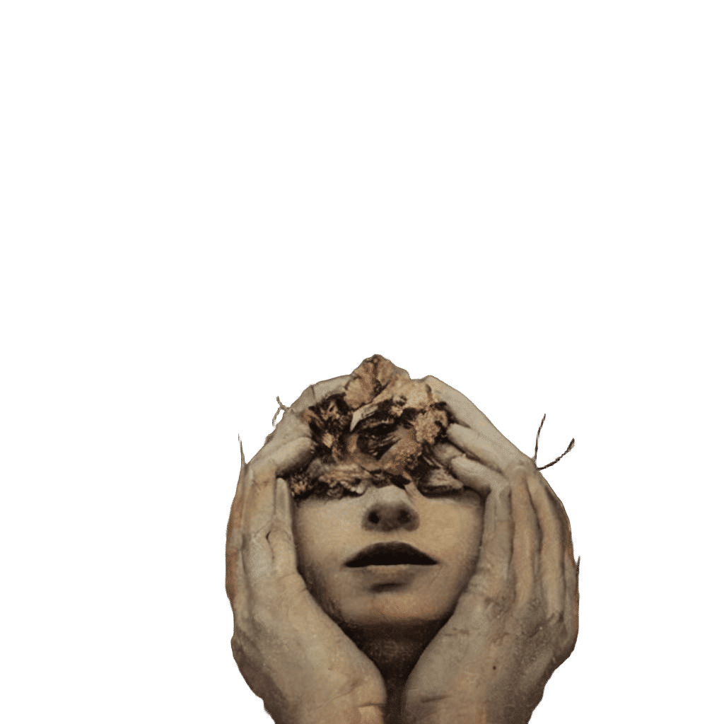 Beauty and Ugliness: A Rare Perspective