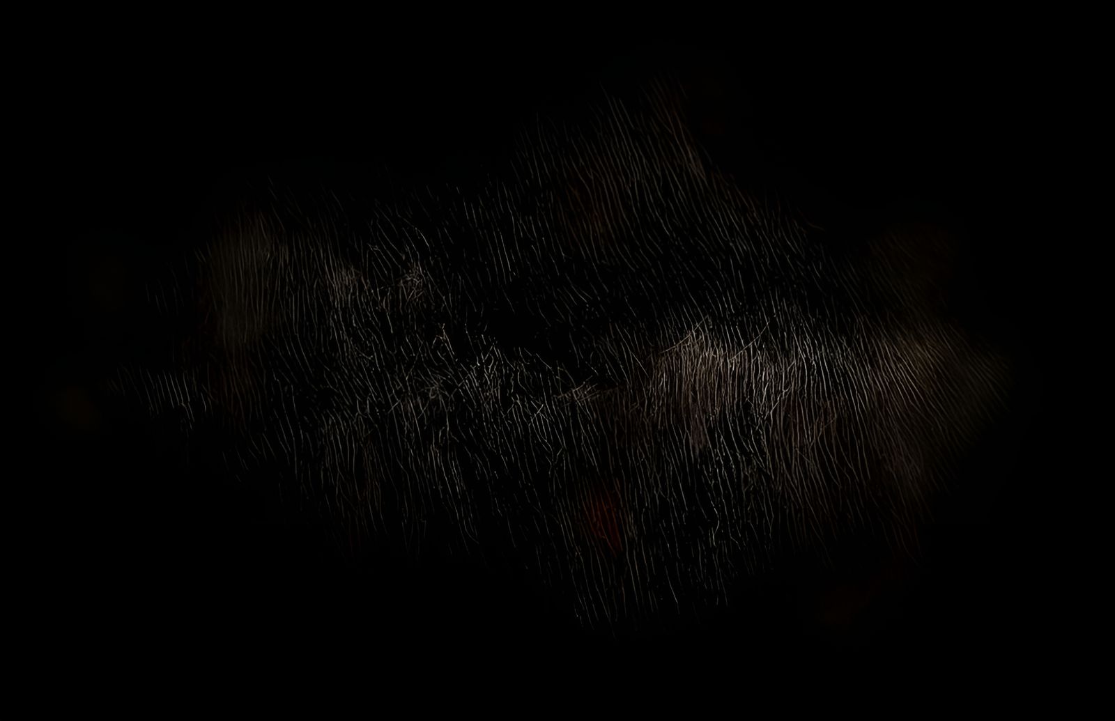 Chaotic Geometric Blend of Science and Magic