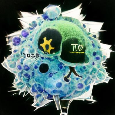 Cancer Cell and T Cell Interaction