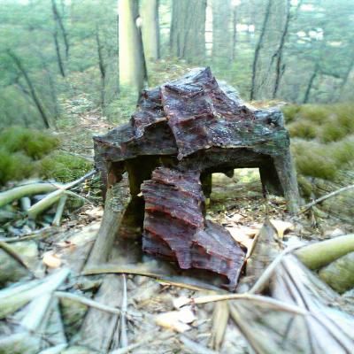 Structure on Wooded Peak