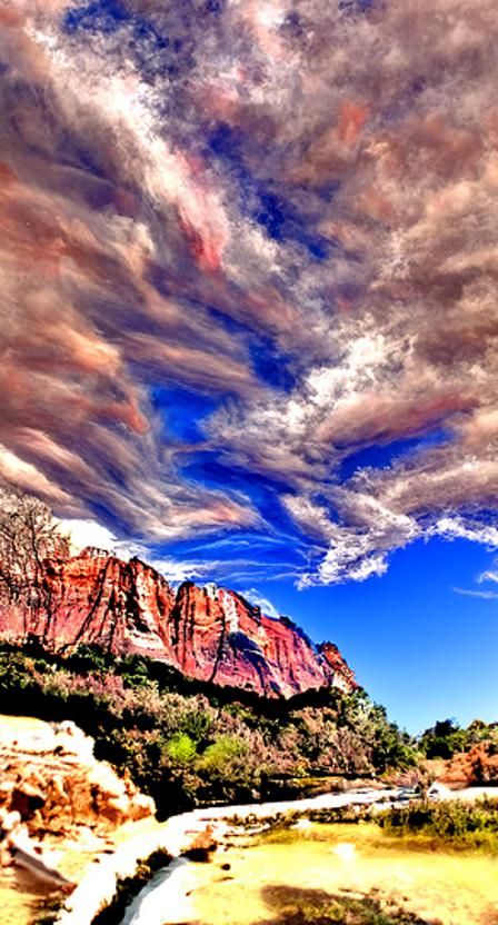 Zion National Park Landscape with Wildlife