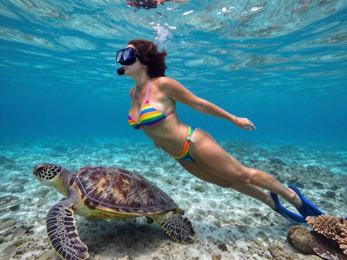 Caribbean cruise day 3, snorkeling with sea turtles