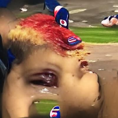 Chicago Cubs Game Image
