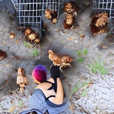 Abstract Representation of Freedom and Nature