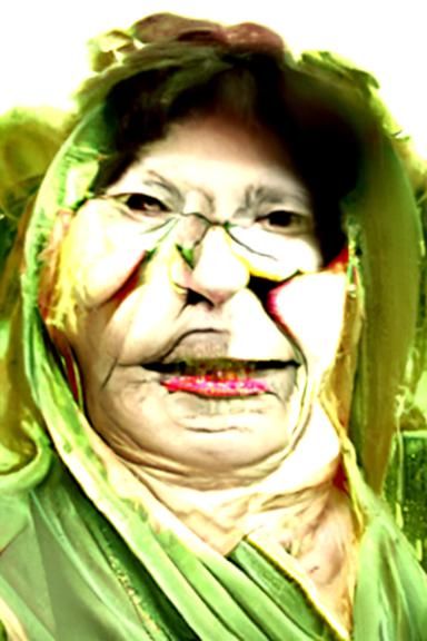 Abstract Portrait of a Mother-in-Law