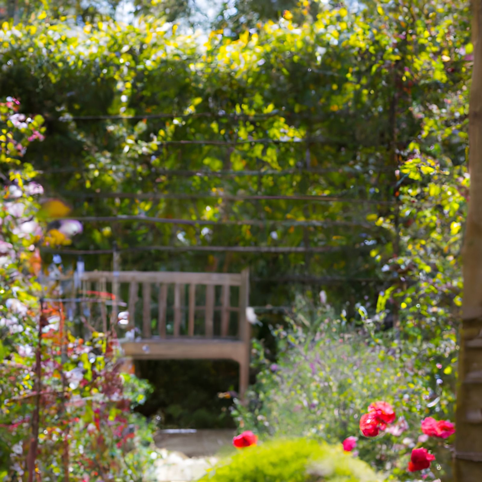 Sunny Secret Garden Fine Art Photography