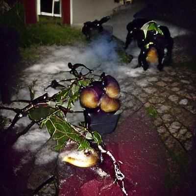 Midnight Plums: A Covert Swedish Harvest
