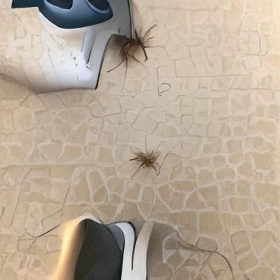 AI Generated Image from a Blank Prompt