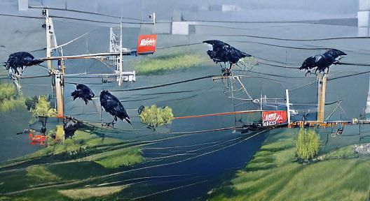 Crows on Wires: A Study in Black and White