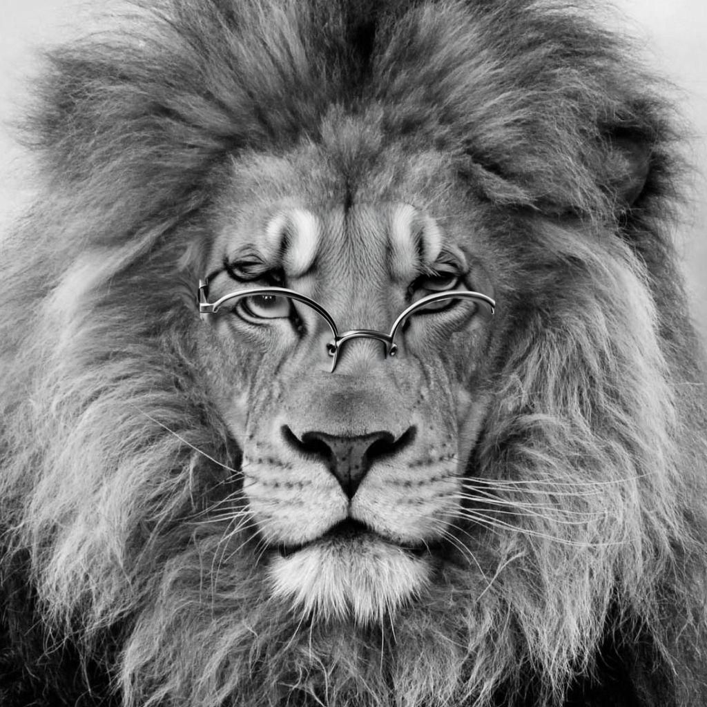 Detailed View of Eyeglasses