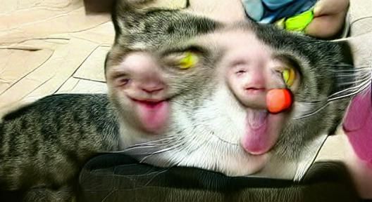 Humorous Cartoon Cat with Exaggerated Features