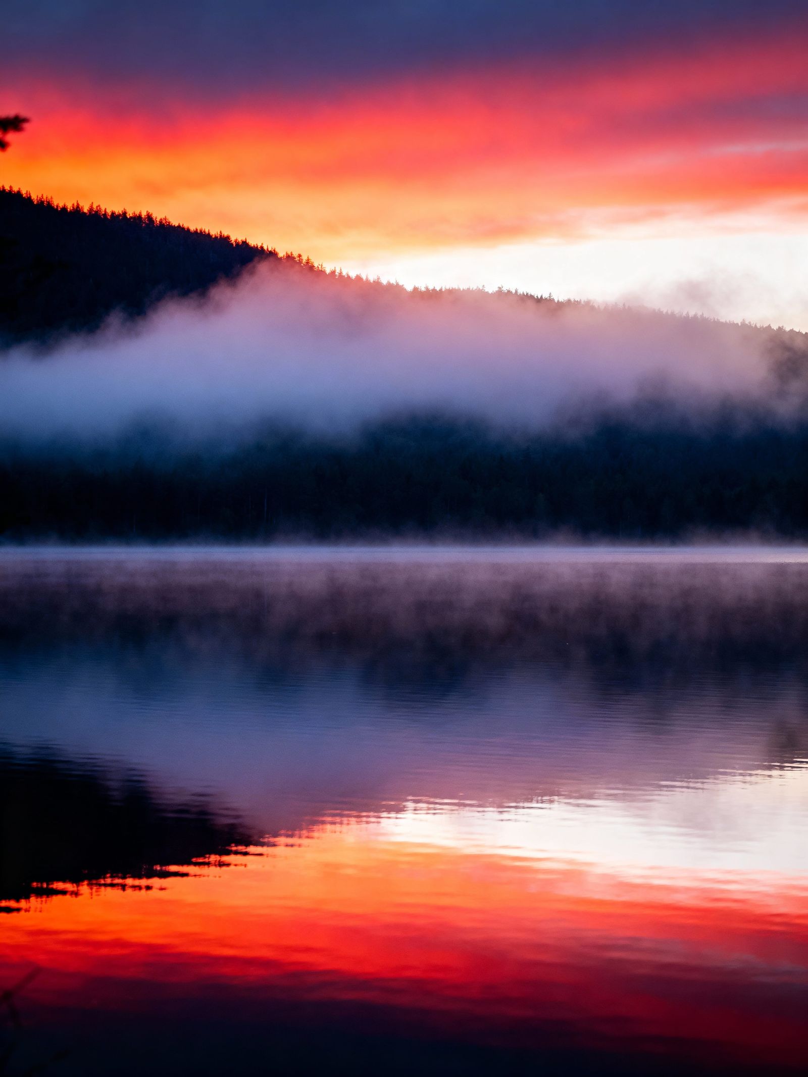 Mystical Fog Over Quiet Lake at Dawn, Hyperrealistic Photogr...