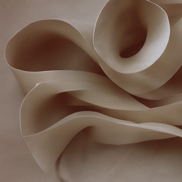 Bizarre Apple Peel Twists in Vintage Polaroid