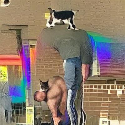 Man Stands on Cat