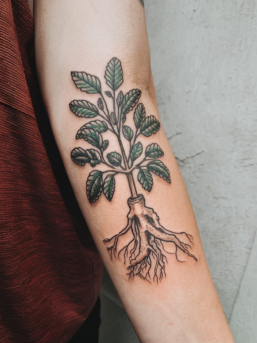Tattoo of American Ginseng in Vibrant Colors