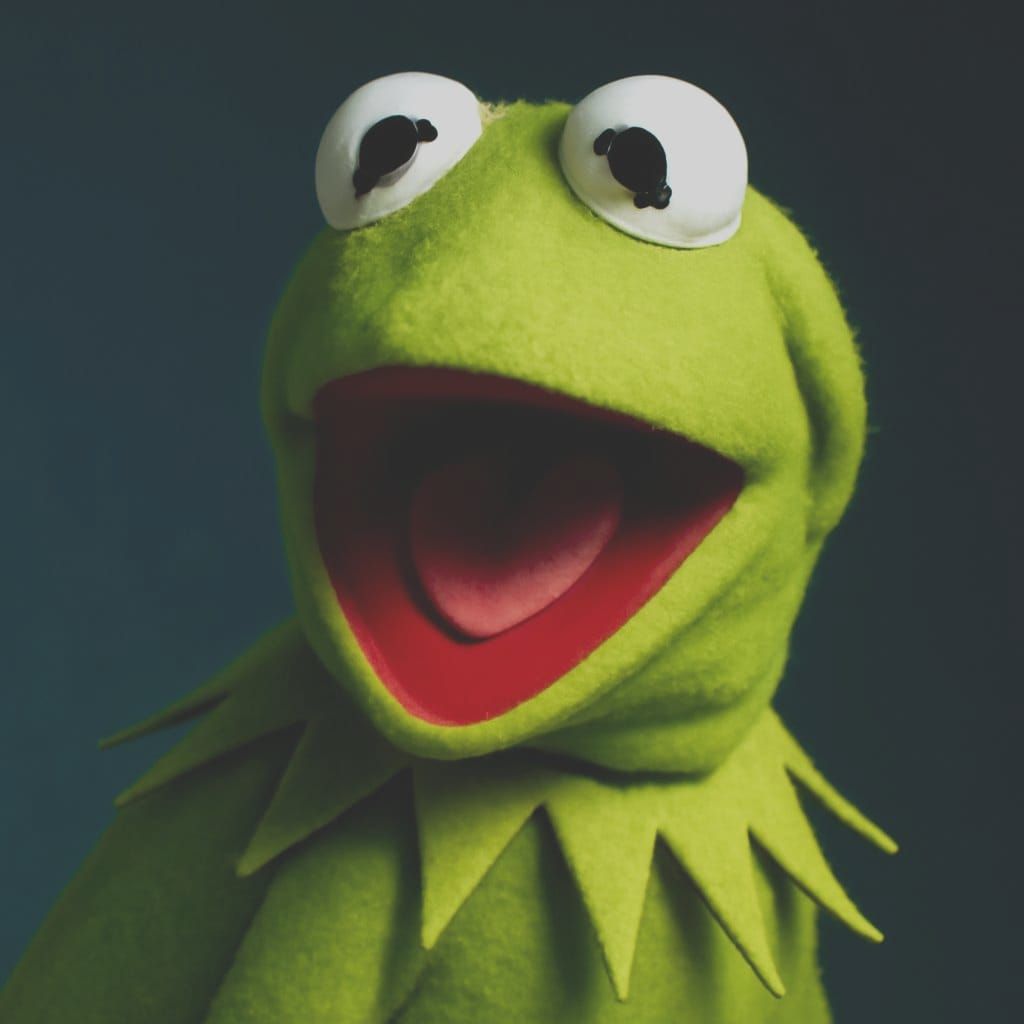 Surprised Kermit the Frog