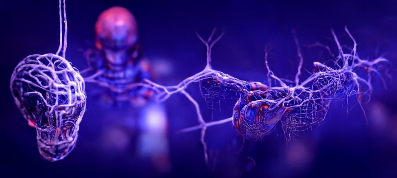 Holographic Neural Network Computer System in 3D