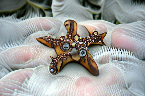 Colorful Starfish on Ocean Floor