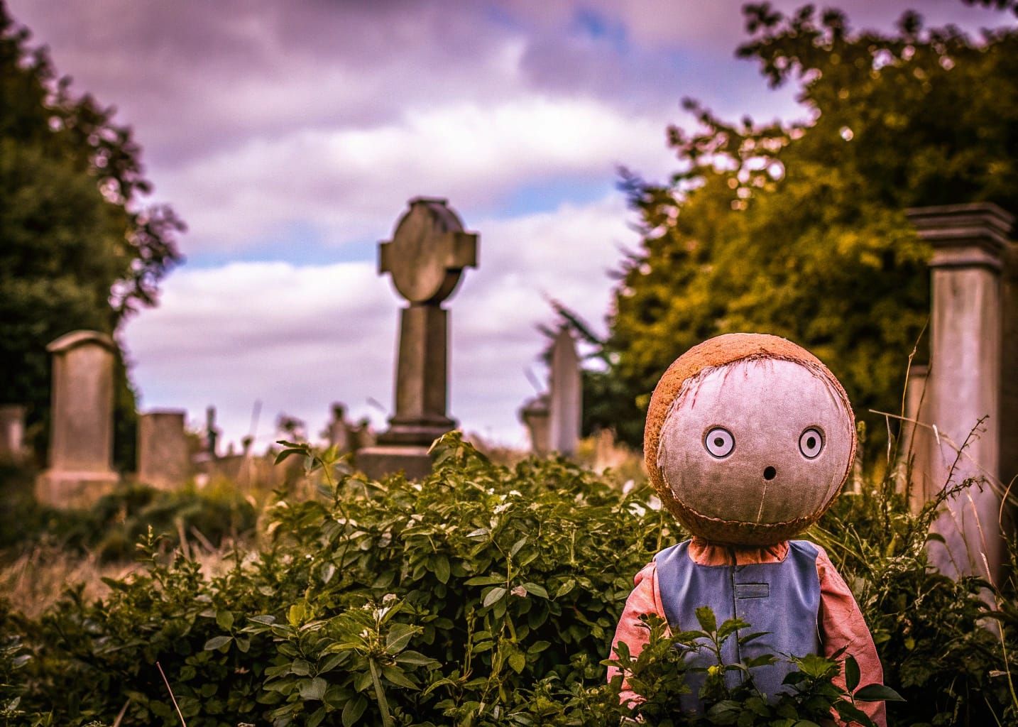 Fluffballs Picotee Blue Apricot Khaki Graveyard