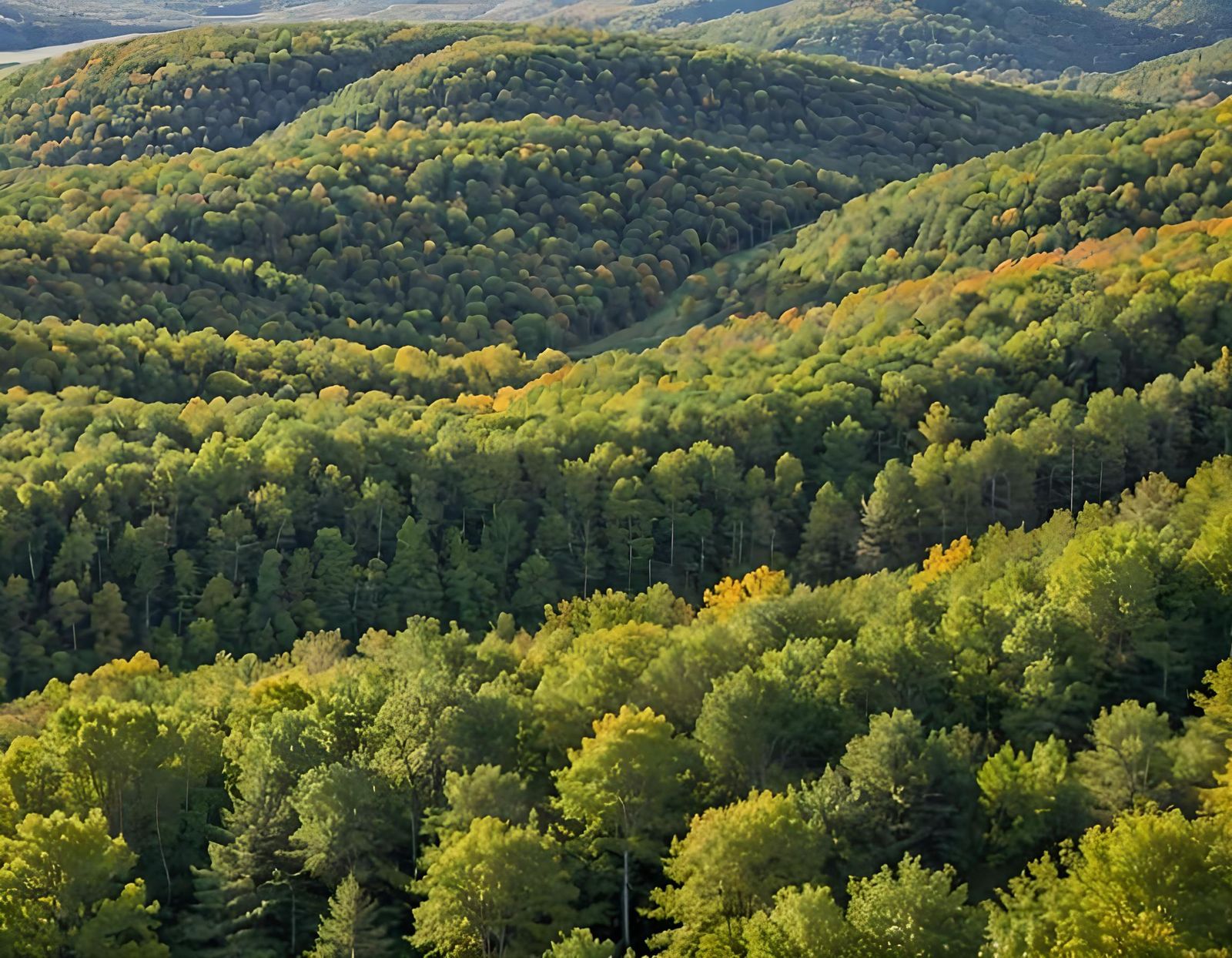 Michigan's Upper Peninsula: A Peaceful Landscape