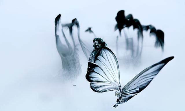 Electronic Butterfly in Psychedelic Style