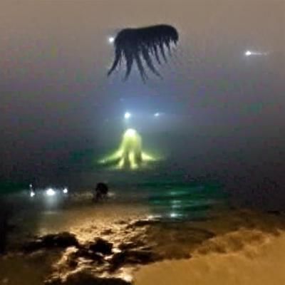 Giant Creature Emerges from Foggy Ocean