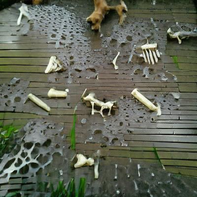 A Dog's Dream: Raining Bones Fantasy