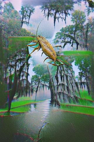 Abstract Rendering of Louisiana State