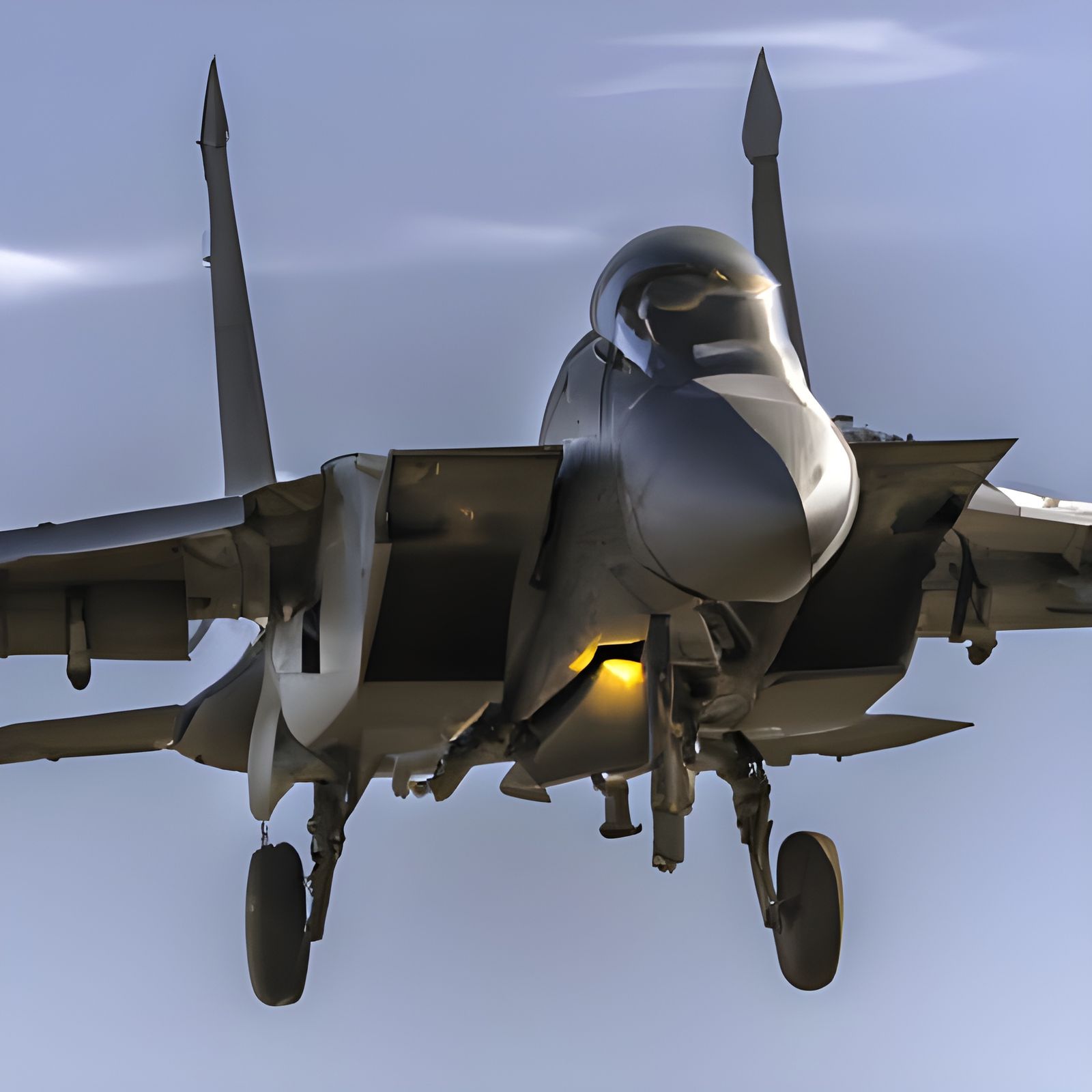 F-14 Tomcat Soaring Through the Sky